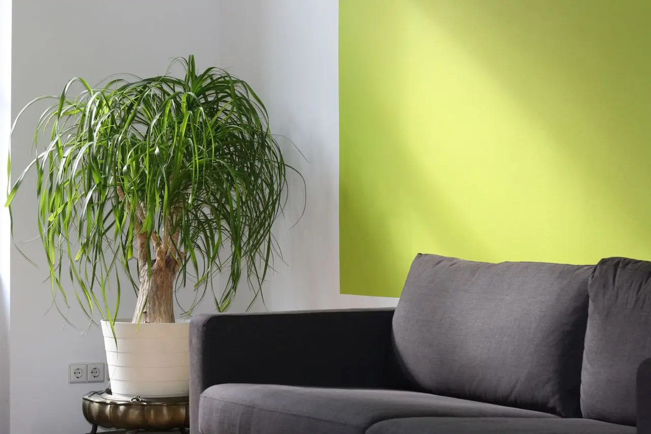 Bright, well-ventilated modern home with fresh indoor air from MVHR